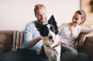 A Beltsville couple relaxing on the couch with their dog in a comfortable home