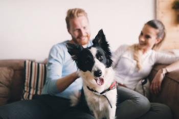 Waldorf family relaxing comfortably on the couch with their dog, thanks to heating and cooling service by Belair.