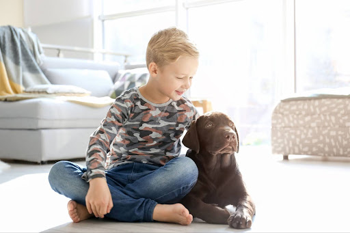 A child and a dog in a living room in Crofton